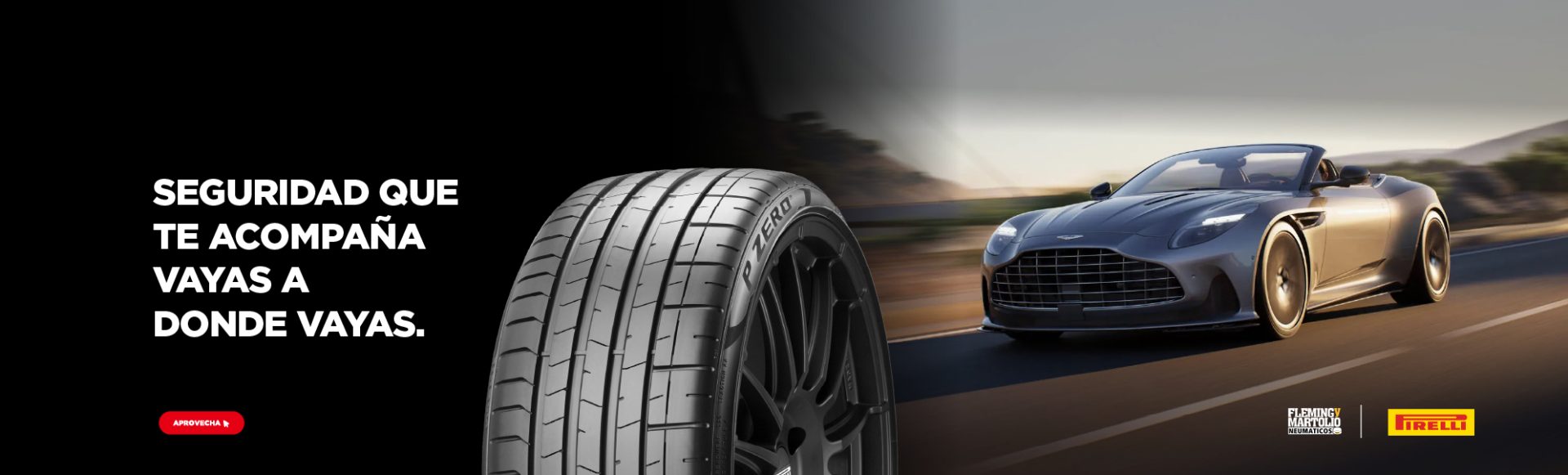 Fleming y Martolio - Lider número 1 en venta de Neumáticos